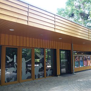 Aquarium and Terrarium room and Zoo School, 2025-05-22