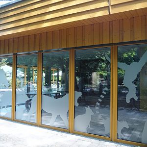 Aquarium and Terrarium room and Zoo School, 2025-05-22