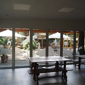 View from inside the Aquarium and Terrarium room towards the ZooBistro restaurant, with picnic bench and animal window decals, 2025-05-22