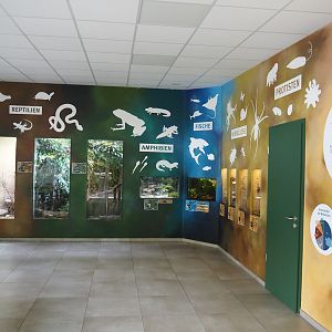 Set-up of terrariums and aquariums with diversity of life educational displays, 2025-05-22