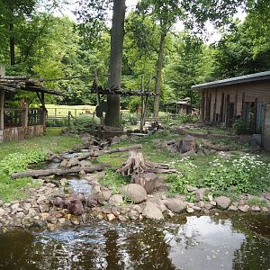 Asian small-clawed otter exhibit, 2025-05-22