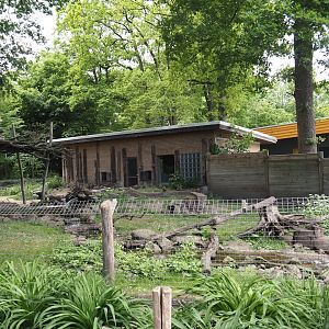 Asian small-clawed otter exhibit, 2025-05-22