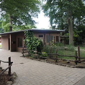 Asian small-clawed otter house, 2025-05-22