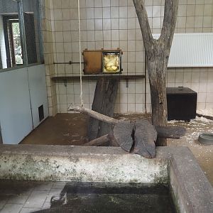 Asian small-clawed otter indoor housing, 2025-05-22