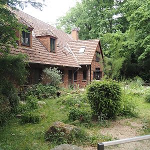 Hermann's tortoise exhibit and service building, 2025-05-22