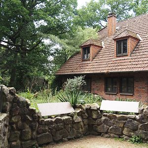 Hermann's tortoise exhibit and service building, 2025-05-22