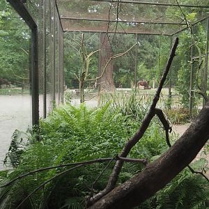 Empty aviary, previously for Trumpeter hornbills, with the Bactrian camel paddock in the background, 2025-05-22