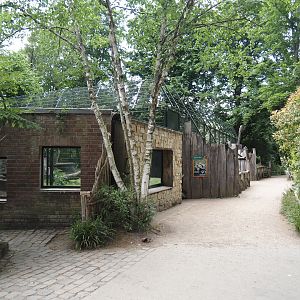 Sumatran tiger viewing areas, 2025-05-22