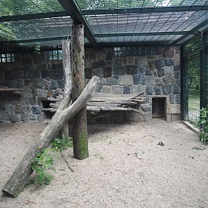 Sumatran tiger holding cage, 2025-05-22