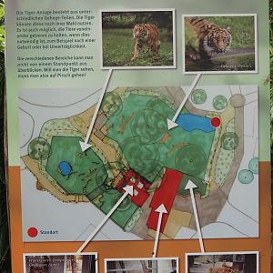 Map of the tiger exhibits, 2025-05-22