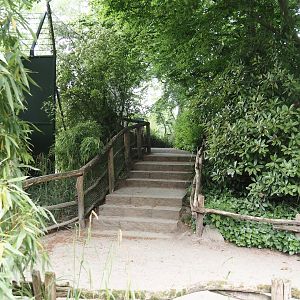 Entrance to elevated viewing area for Sumatran tigers, First Sumatran tiger exhibit, 2025-05-22