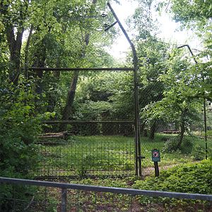 Second Sumatran tiger exhibit, 2025-05-22
