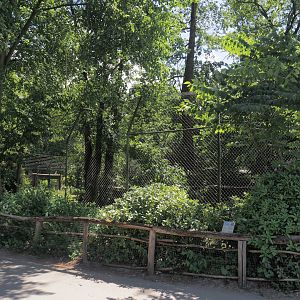 Second Sumatran tiger exhibit, 2025-05-22