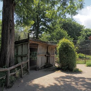 Sumatran tiger viewing and education area, 2025-05-22