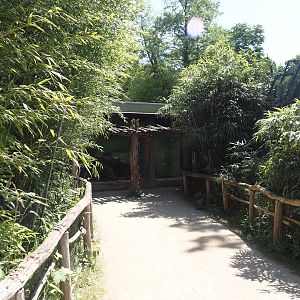 Walkway to viewing area for second Sumatran tiger indoor exhibit and tunnel underneath second tiger exhibit, 2025-05-22
