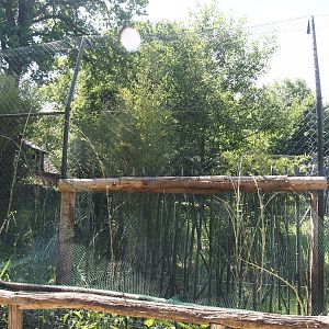 Second Sumatran tiger exhibit, 2025-05-22