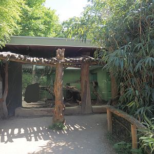 Second Sumatran tiger indoor exhibit, 2025-05-22