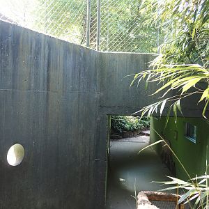 Tunnel underneath the second Sumatran tiger indoor exhibit, 2025-05-22