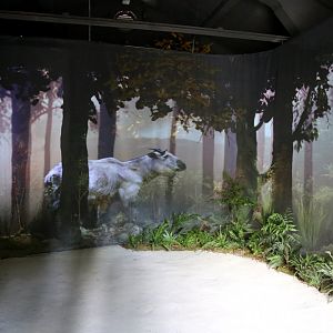 Projection at the Entrance to Tangjiahe