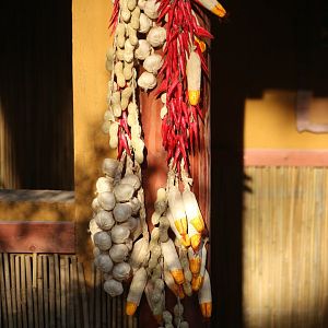 Sichuan Mountain Homestead Detail