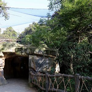Golden Snub-nosed Monkey Exhibit