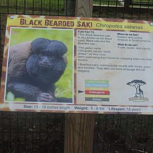 black bearded saki sign