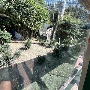 jaguar enclosure