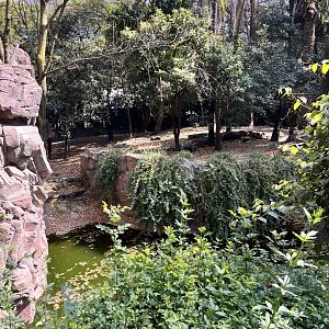 part of bengal tiger exhibit
