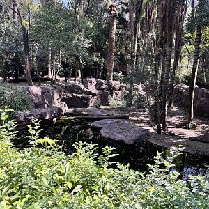 part of bengal tiger exhibit