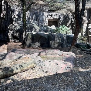 snow leopard exhibit