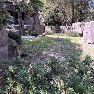 part of black bear exhibit