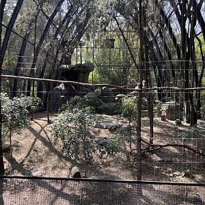 eagle aviary