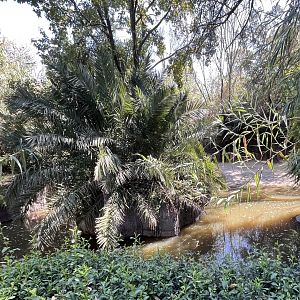part of nile hippo exhibit