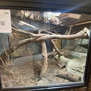 1st view of lace monitor exhibit