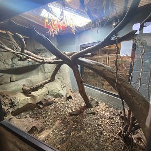 2nd view of lace monitor exhibit
