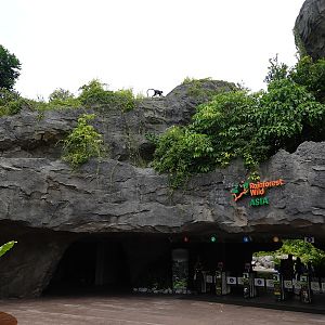 Rainforest Wild Asia : Entrance
