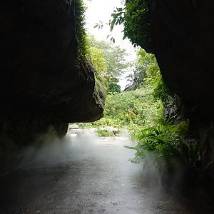 Rainforest Wild Asia : Entrance Gorge