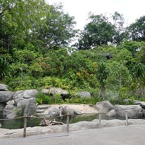 Rainforest Wild Asia : Entrance Gorge - terrapin and arowana enclosure