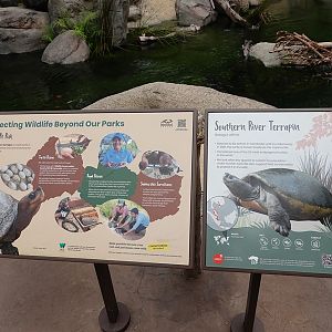 Rainforest Wild Asia : Entrance Gorge - terrapin educational sign