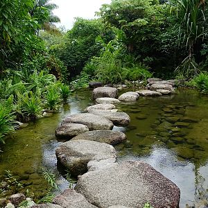 Rainforest Wild Asia : adventure trail