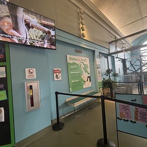 Hamill Family Play Zoo - Tamandua exhibit and signage