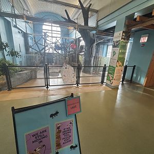 Hamill Family Play Zoo - Tamandua exhibit and signage