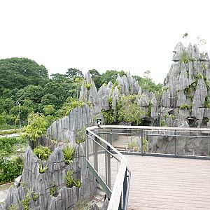 Rainforest Wild Asia : The Karsts