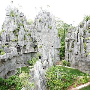 Rainforest Wild Asia : The Karsts - Francois langur enclosure