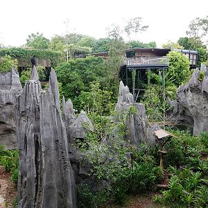 Rainforest Wild Asia : The Karsts - Francois langur enclosure