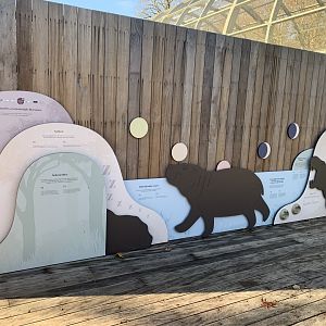 Pygmy Hippo signage
