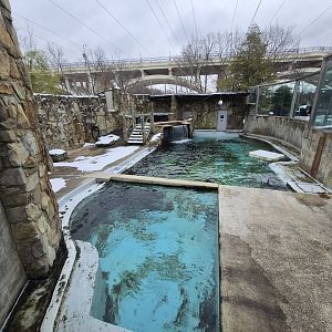Harbor Seal/California Sea Lion Exhibit