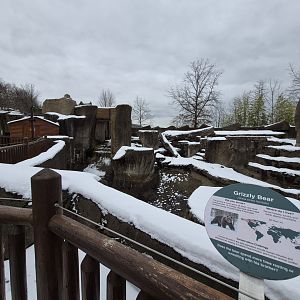 Grizzly Bear Exhibit