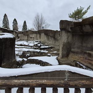 Black Bear Exhibit Right Side