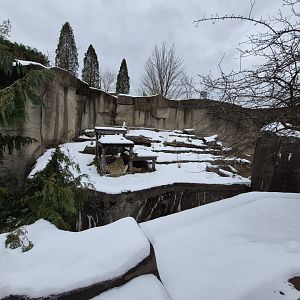 Black Bear Exhibit Left Side